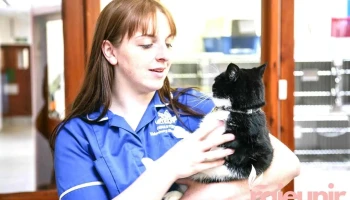 Conanvet Limited (Fortrose) - Fortrose