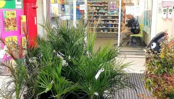 Morrisons Pharmacy - Whitley Bay Ne25 8Hn