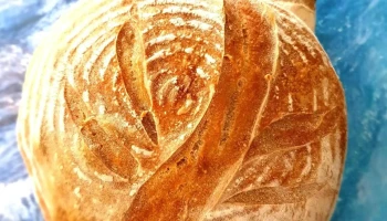 The Blewbury Bread Co. - The Nurseries