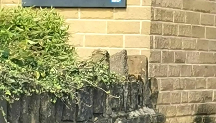 Medichem Pharmacy - Fair Rd