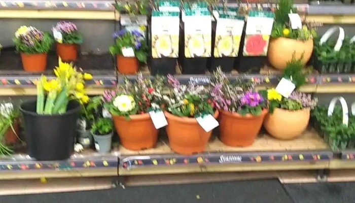 Morrisons -  Inside - Glasgow