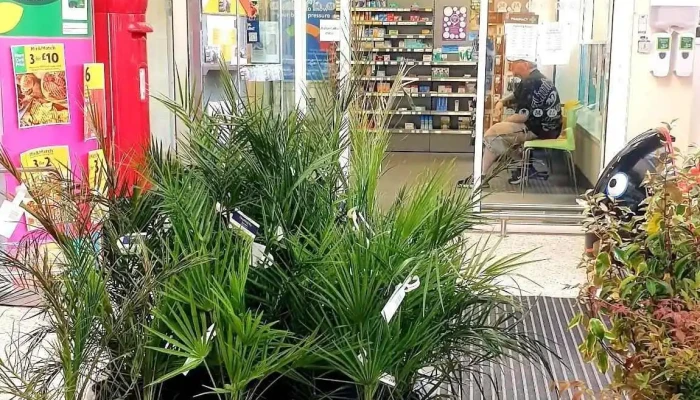 Morrisons Pharmacy - Whitley Bay Ne25 8Hn