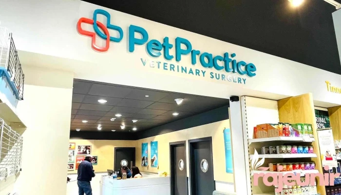 Pet Practice Veterinary Surgery - Salisbury Sp2 7Pn