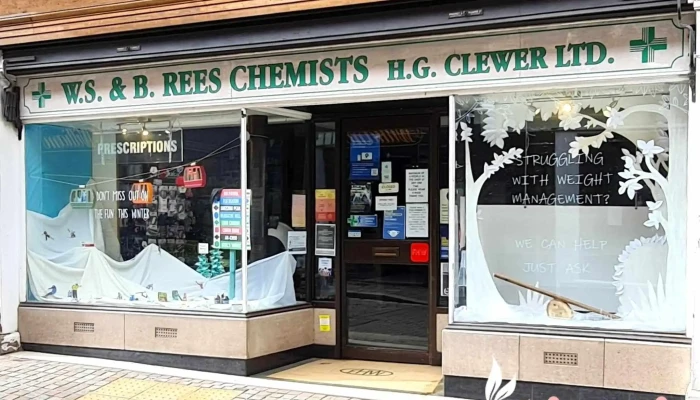 Rees Chemist - 20 High St