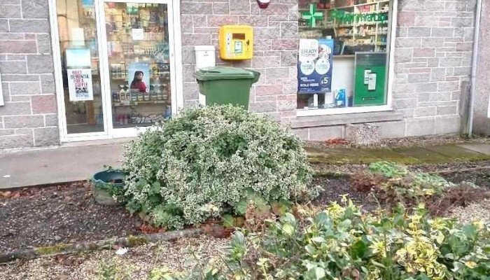 Right Medicine Pharmacy (Lhanbryde) - Elgin